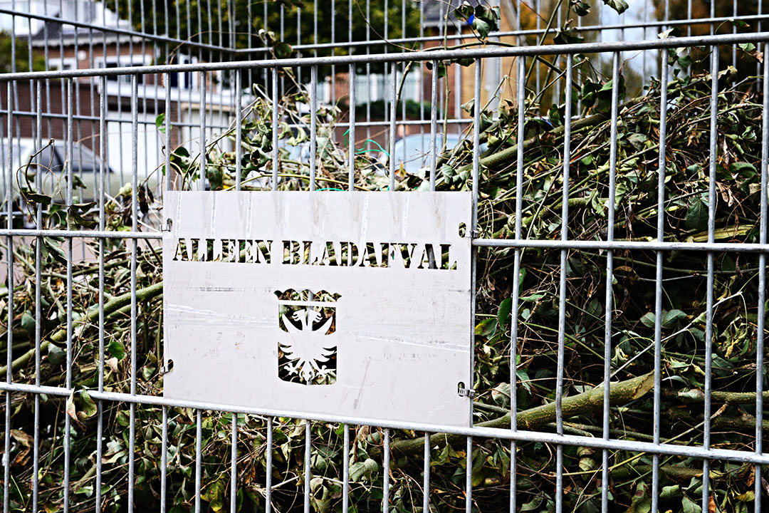 Herfst – de bladkorven zijn er weer!