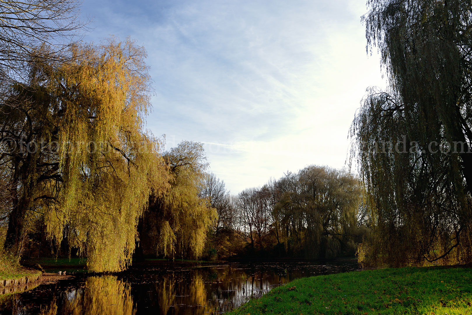 Park Immerloo krijgt natuurlijke speelplaats