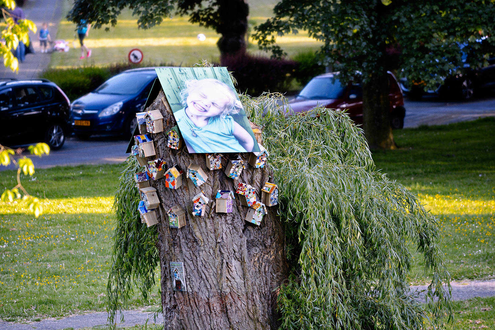 Van omgewaaide boom naar het Malle Huis