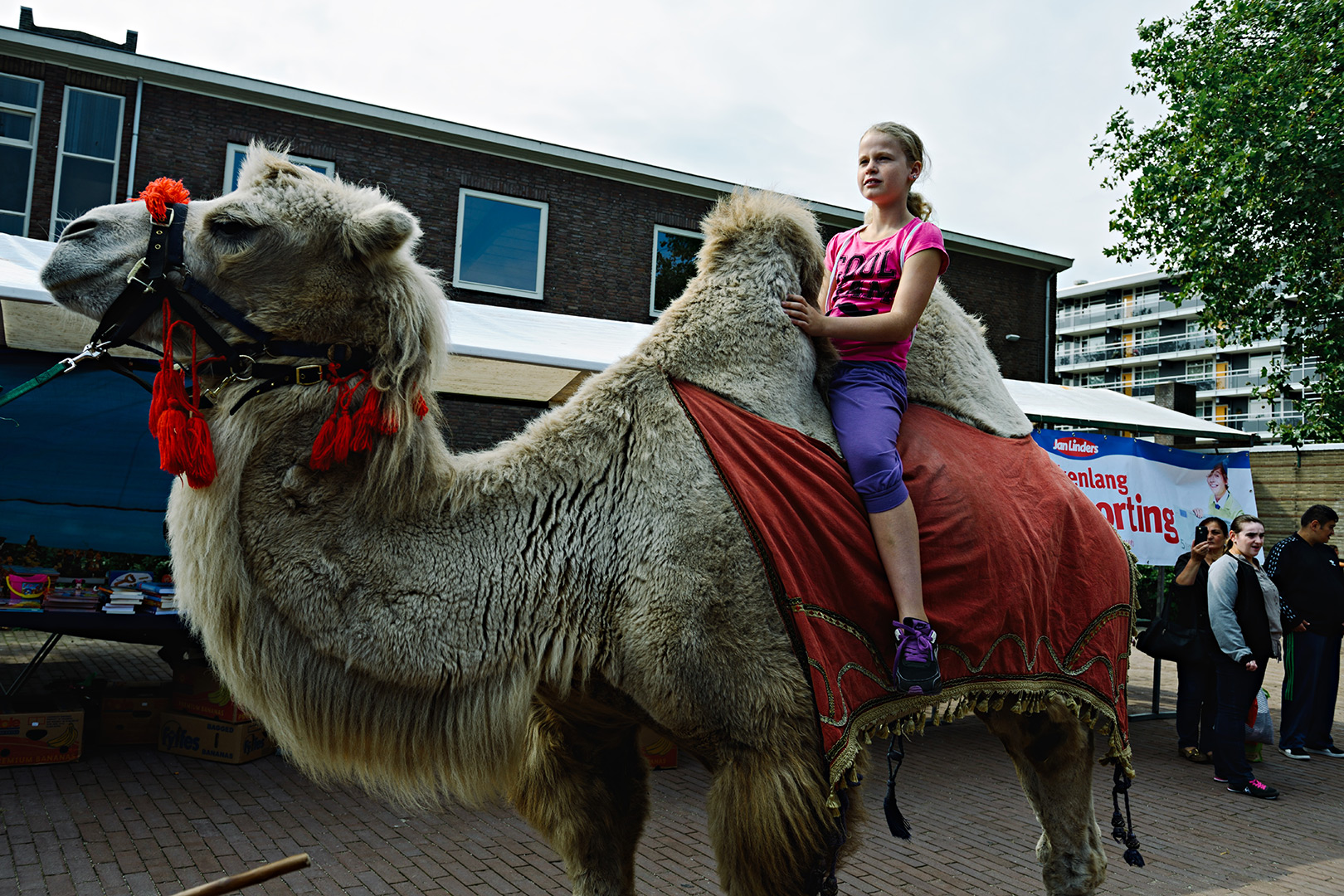 Drukte en prima sfeer tijdens 20ste Wijkdag in Malburgen