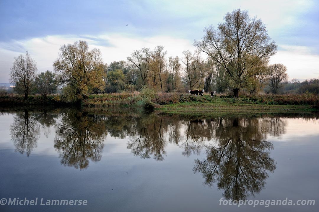 foto artikel referendum