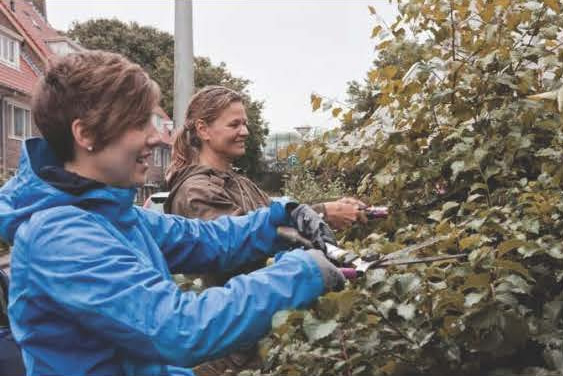 Tuinklus en opruimdag