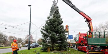 kerstboom