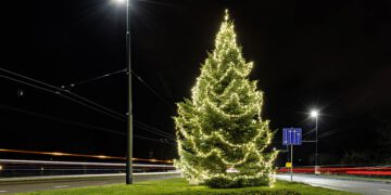 kerstboom