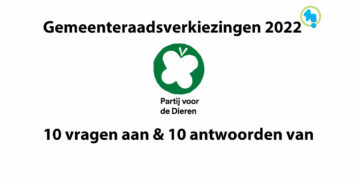 politiek