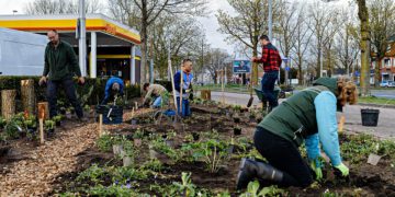 De Groene Route