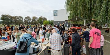 activiteiten