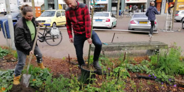 Groene Route