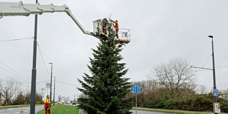 Hij staat weer…de kerstboom!