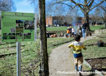 NL Doet! 2023 In de wijk Malburgen, Immerloo en Het Duifje
