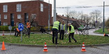 Bloembollen