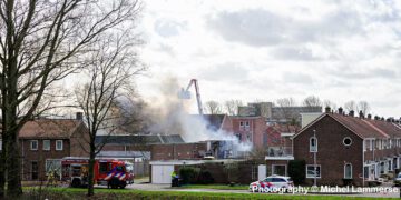 brand