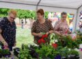 Plantjesmarkt