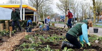Wijkgroen agenda