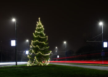 Wijkplatforms, wijkbeheergroepen en wijkmedia wensen u fijne feestdagen!