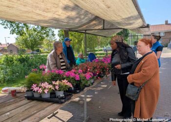 Plantjesdag 2026